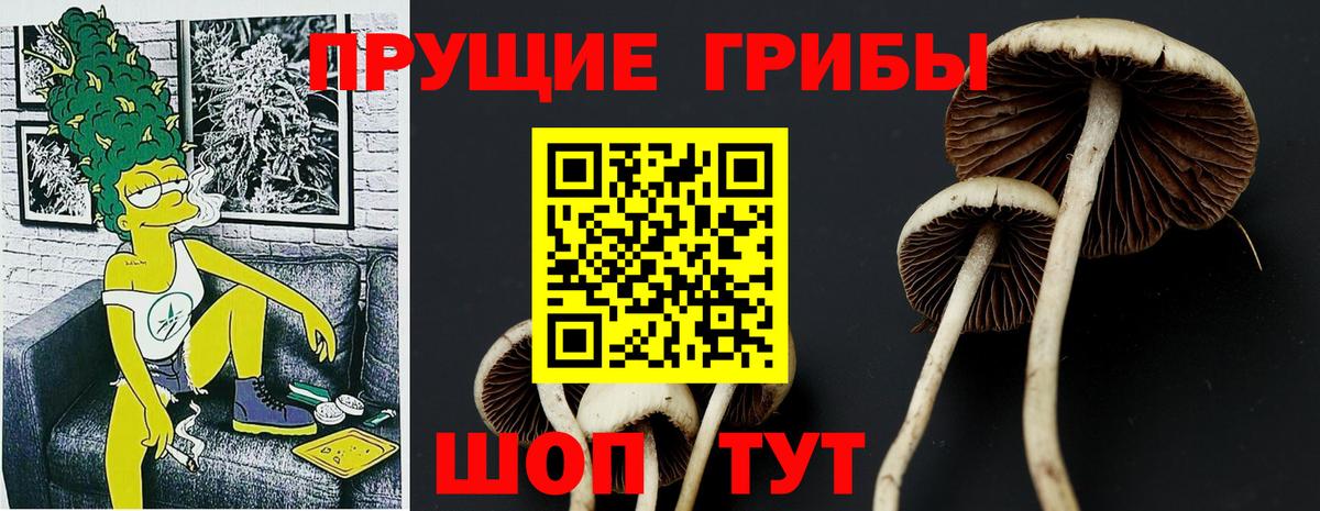 Рассказово  Галлюциногенные грибы Cubensis  Галлюциногенные грибы GOLDEN TEACHER  Вход с VPN 